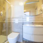 ステラ マリス